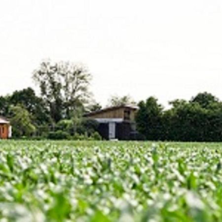 Demeterhof Duenninger Διαμέρισμα Hofheim in Unterfranken Εξωτερικό φωτογραφία