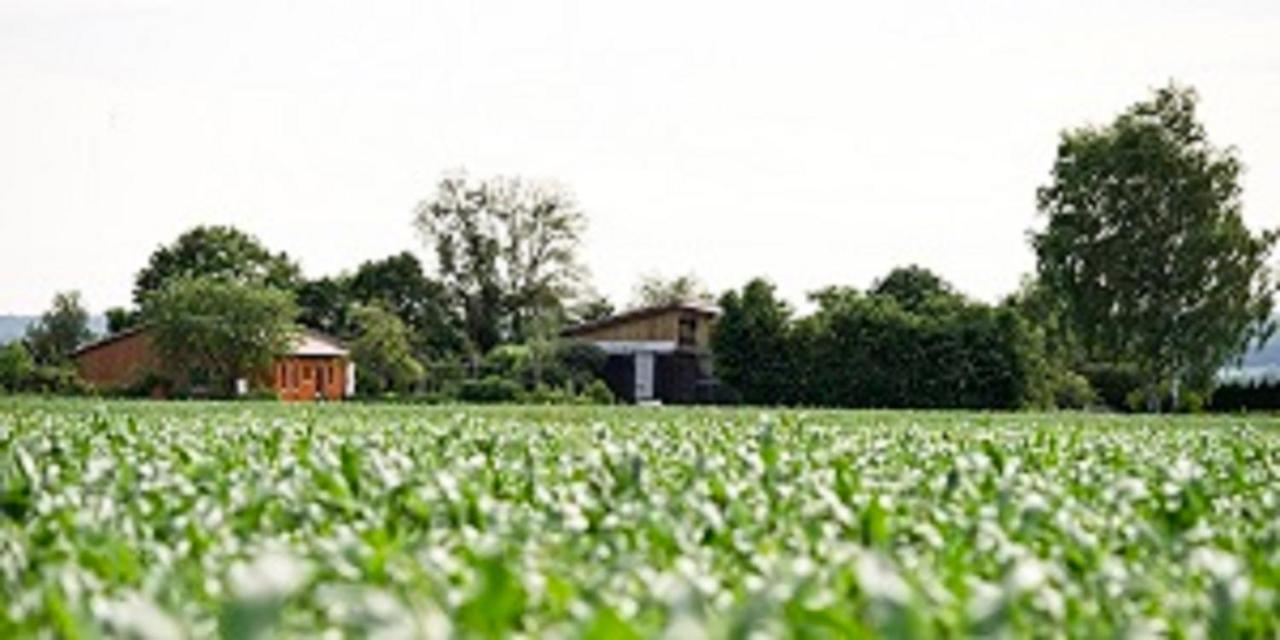 Demeterhof Duenninger Διαμέρισμα Hofheim in Unterfranken Εξωτερικό φωτογραφία